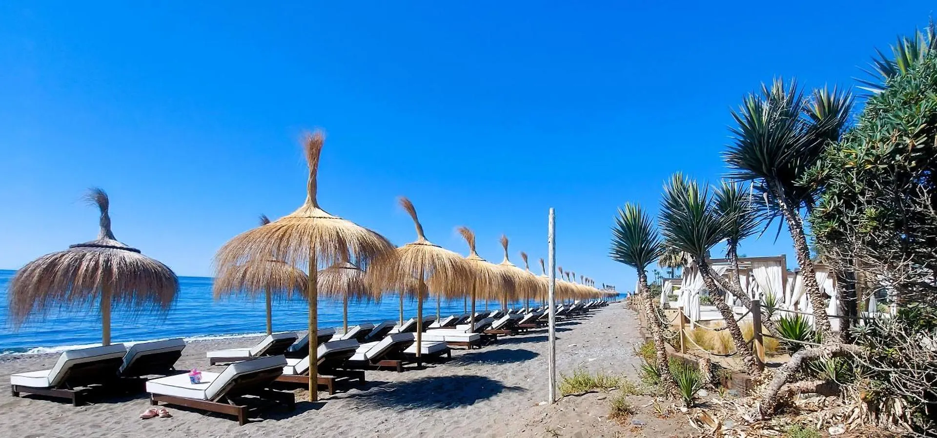 Beach And Golfside Apartment In Guadalmina Marbella